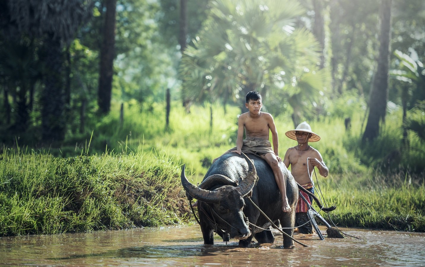Jungle safari the most adventures sightseeing